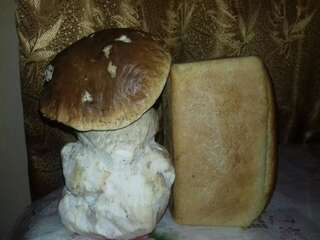 Дома для отпуска Садиба 