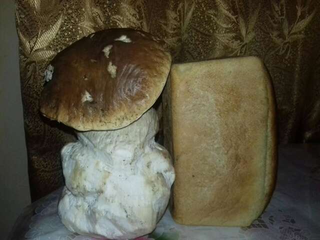 Дома для отпуска Садиба 